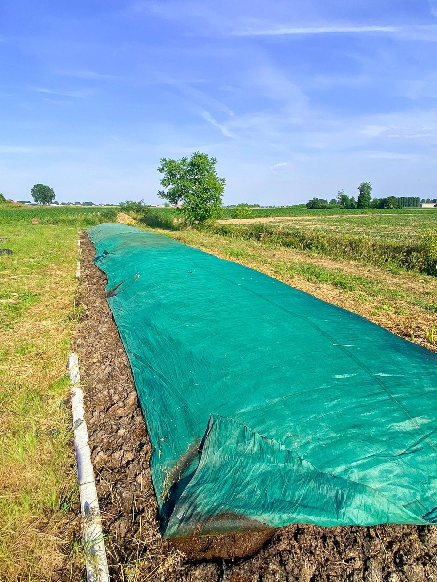 Le lettiere dei lombrichi nei campi di Fertil Green a Viadana